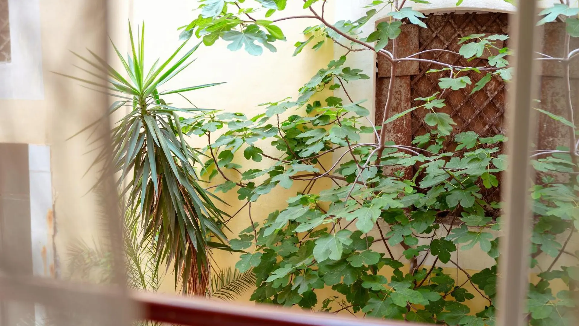 Monserrato House Villa Catania